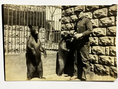 Memorial Park hosted zoo in Williamsport for years in early 1900s